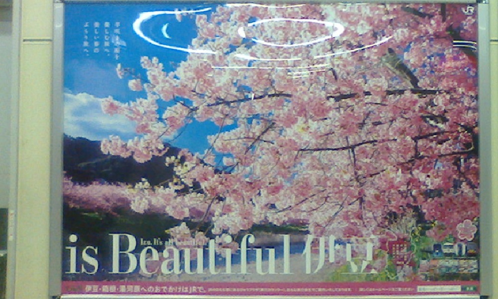 Hanami