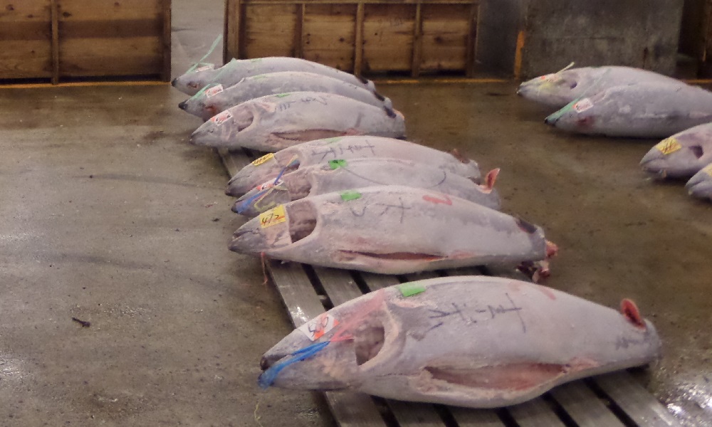 Tsukiji