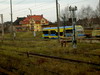 kliknij by powikszy