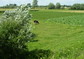 powiększ