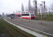 fot. Ptaku