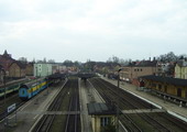 fot. Ptaku