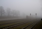 fot. Cluzo