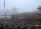 fot. Cluzo