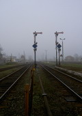 fot. Cluzo