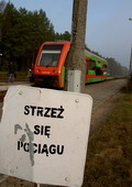 fot. Cluzo