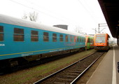 fot. Cluzo