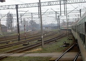 fot. Cluzo
