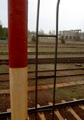 fot. Cluzo