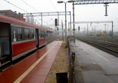 fot. Cluzo