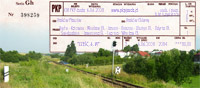 wlepka
