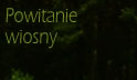 Powitanie wiosny