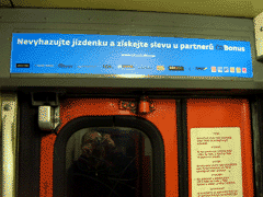 fot. Ptaku