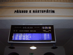 fot. Ptaku