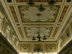 fot. Cluzo