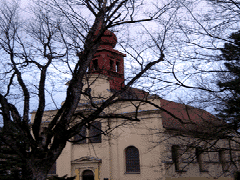 fot. Cluzo