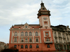 fot. Cluzo