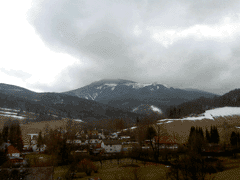 fot. Cluzo