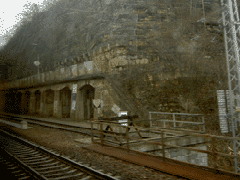 fot. Cluzo