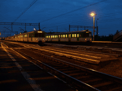 fot. Ptaku