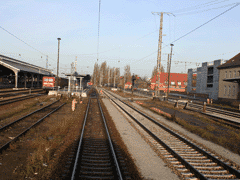 fot. Wawri