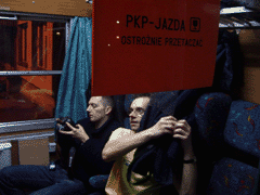 fot. Ptaku