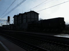 fot. Cluzo