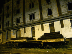 fot. Cluzo