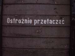 fot. Ptaku
