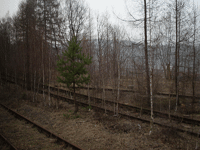 PKP-Jazda