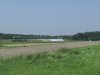 PKP-Jazda