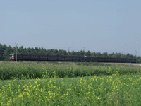 PKP-Jazda